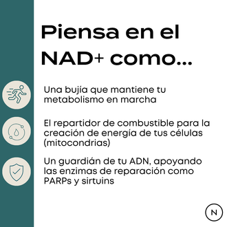 Suplemento NAD (NR) de Naturecan